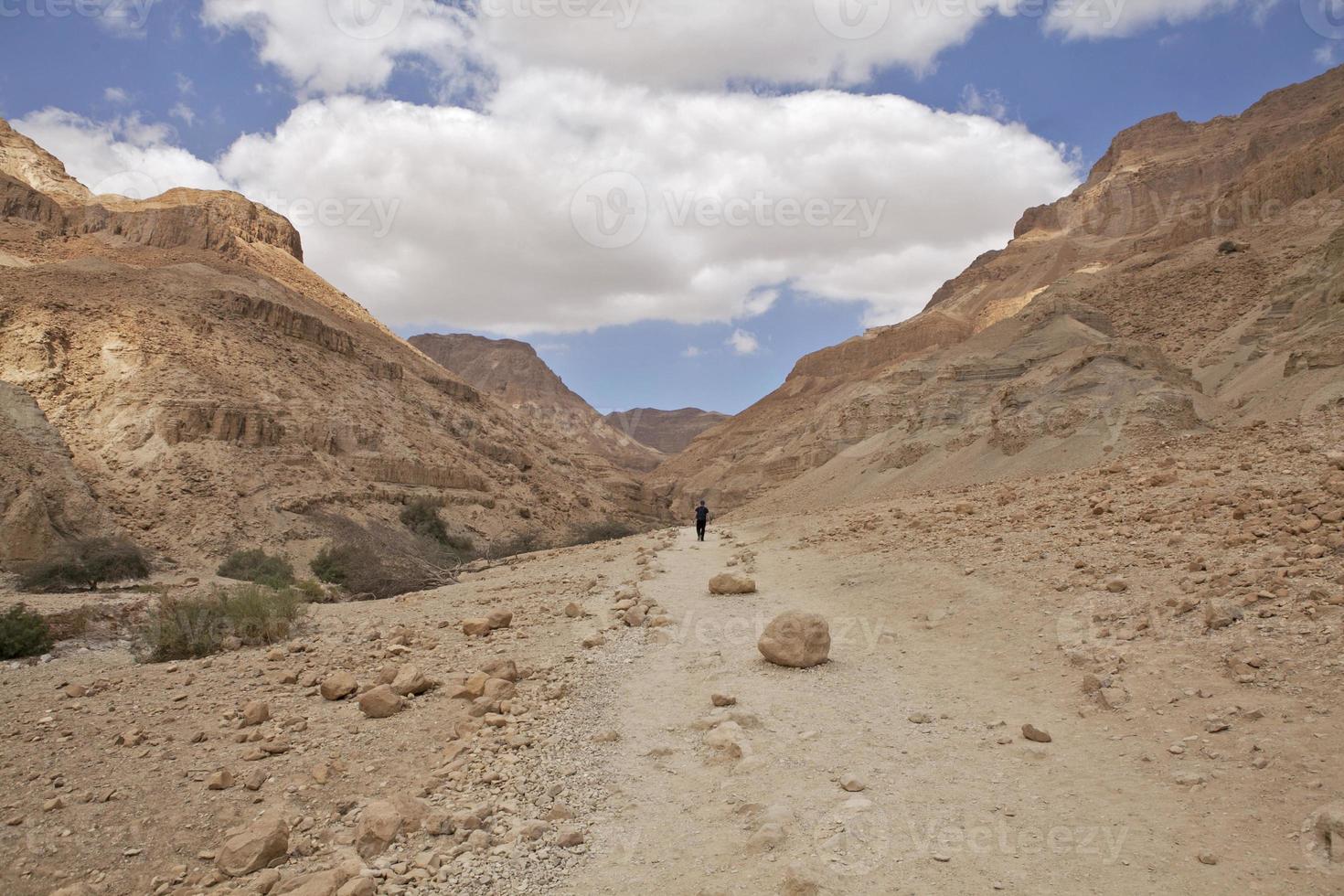 erstaunliche landschaften von israel, blicke auf das heilige land foto