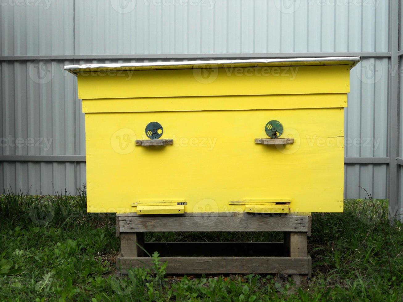 Hintergrund Sechseck Textur, Wachswabe aus einem Bienenstock gefüllt foto