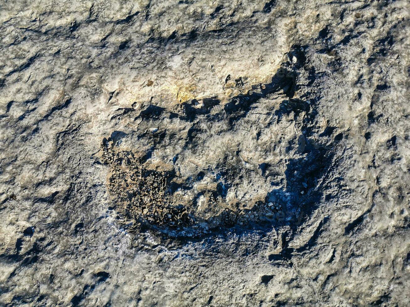 natürlich Monument von Fossil Dinosaurier Fußabdrücke im serra d 'Luft im pedreira tun Galinha, im Portugal. ein pädagogisch Schaltkreis war erstellt beim das Grundstück, wo Besucher können sehen und berühren das Fußabdrücke foto