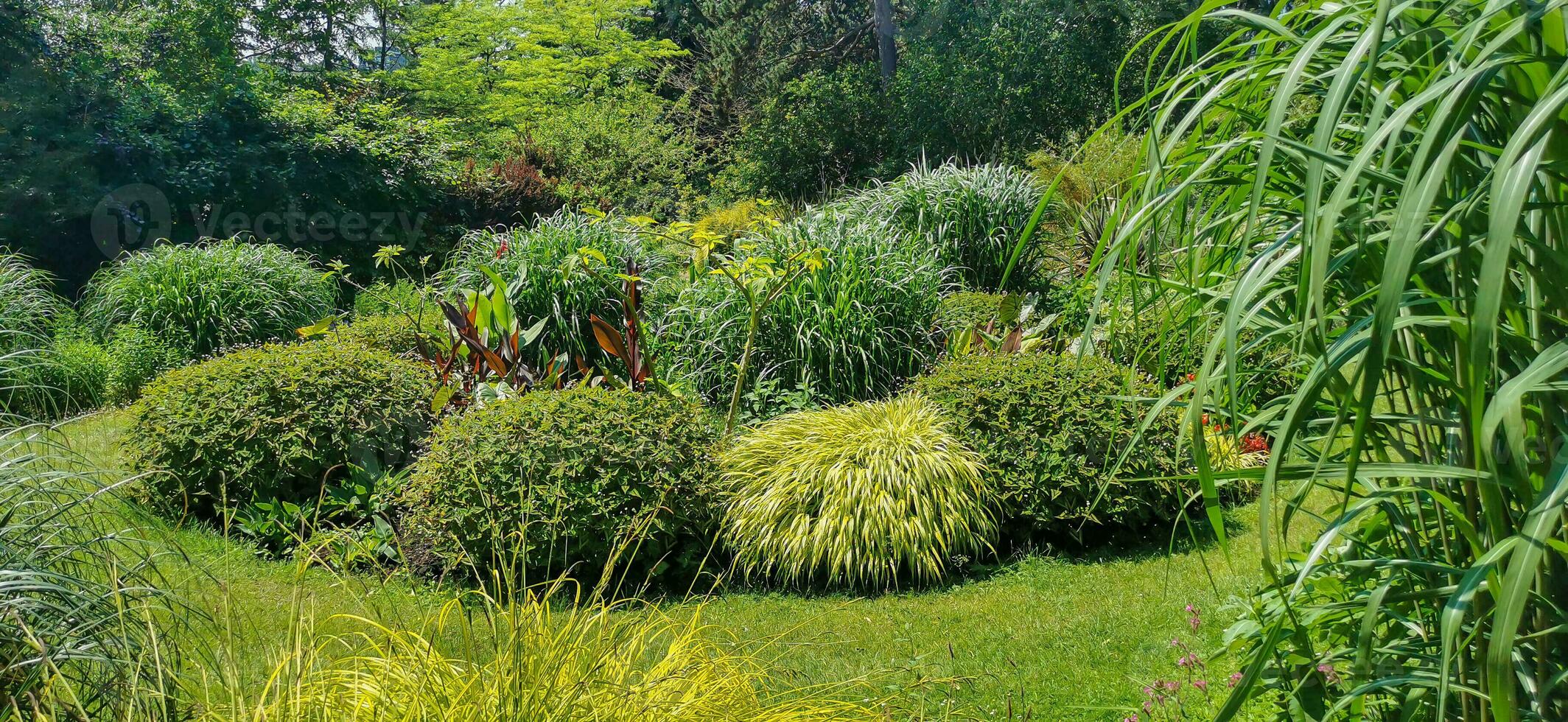 Detail von das Birmingham botanisch Gardens foto