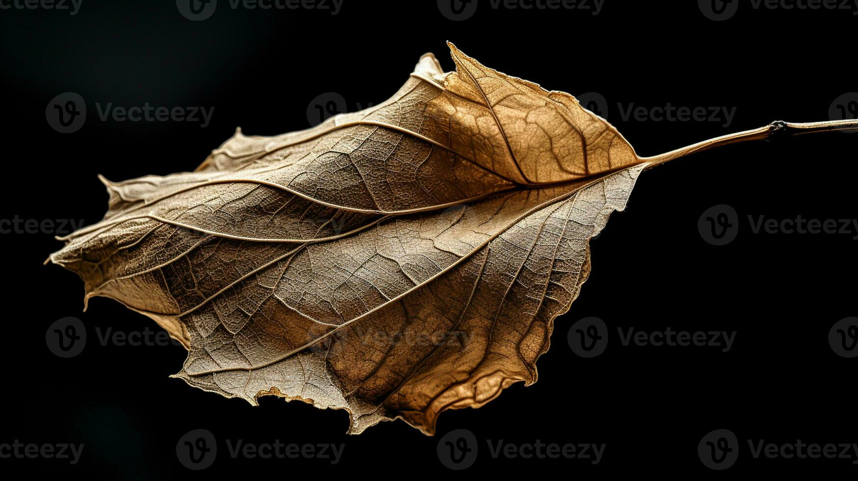 beschwingt Herbst alt trocken Blatt auf schwarz Hintergrund. ai generiert foto