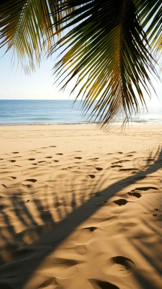 Palme Wedel Gießen Schatten auf sandig Strand foto