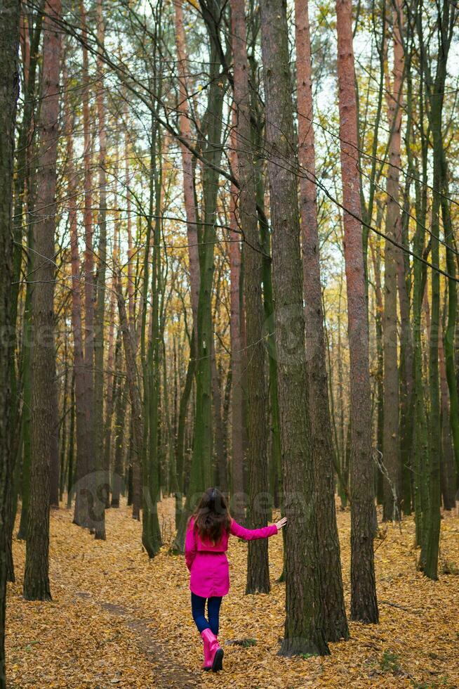 Mädchen im ein Regenjacke und Rosa Gummi Stiefel Gehen im ein Herbst Wald foto