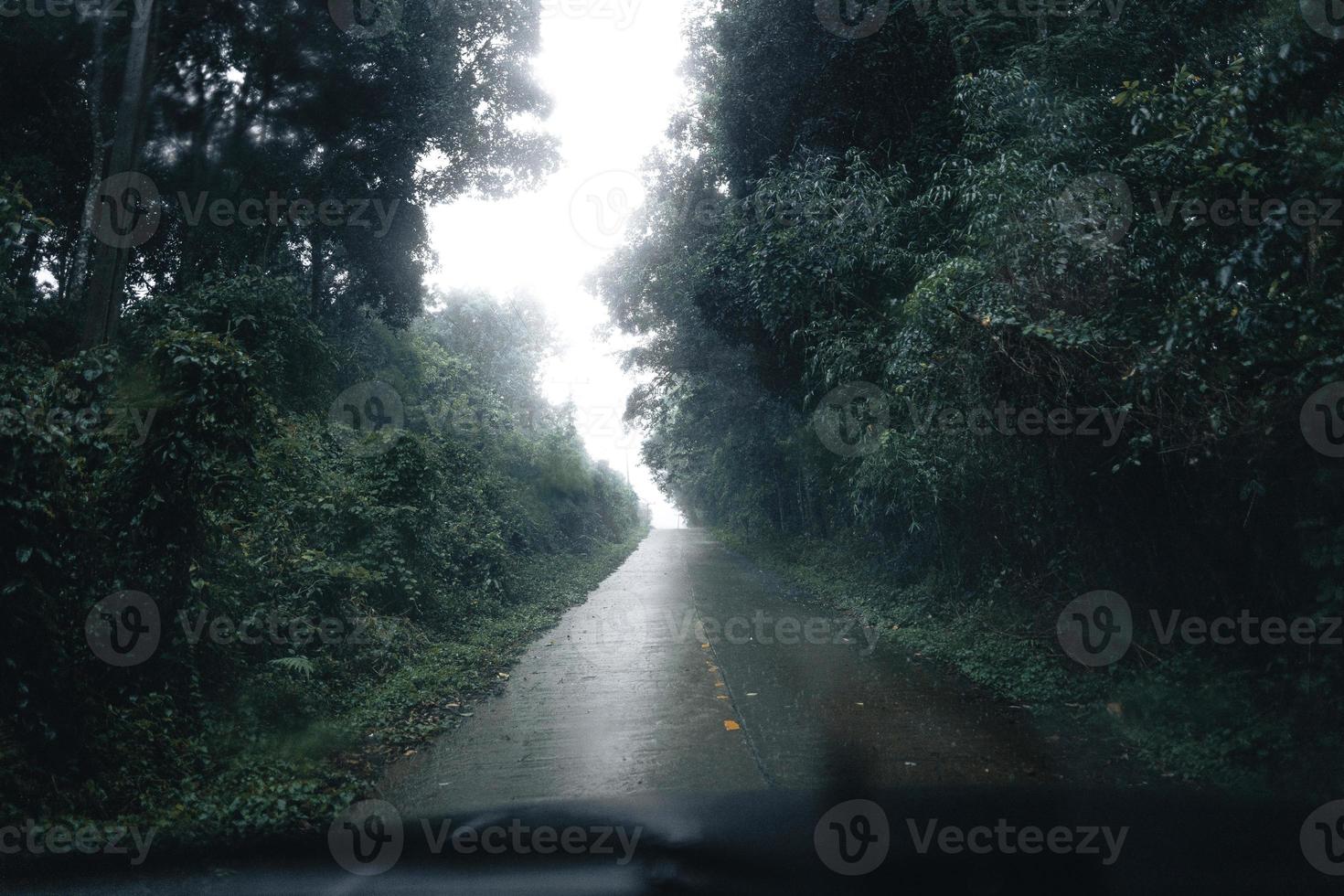 Straße in einem tropischen Wald, die Straße in den tropischen feuchten Wald foto