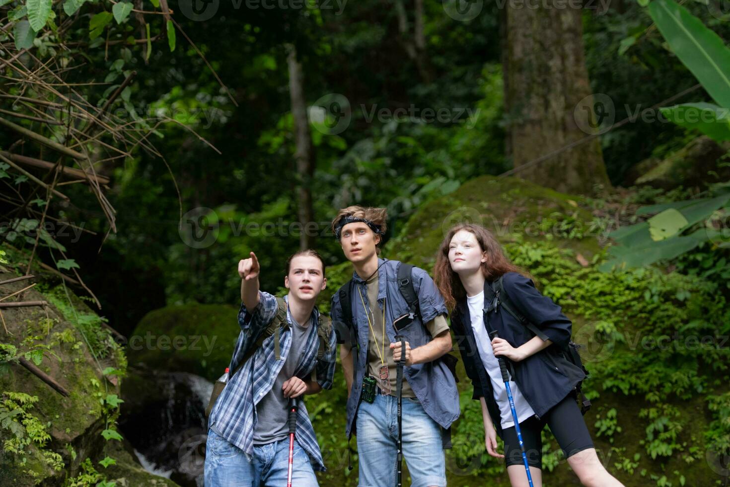 Gruppe von jung Menschen Wandern im das Wald. Reise und Abenteuer Konzept. foto