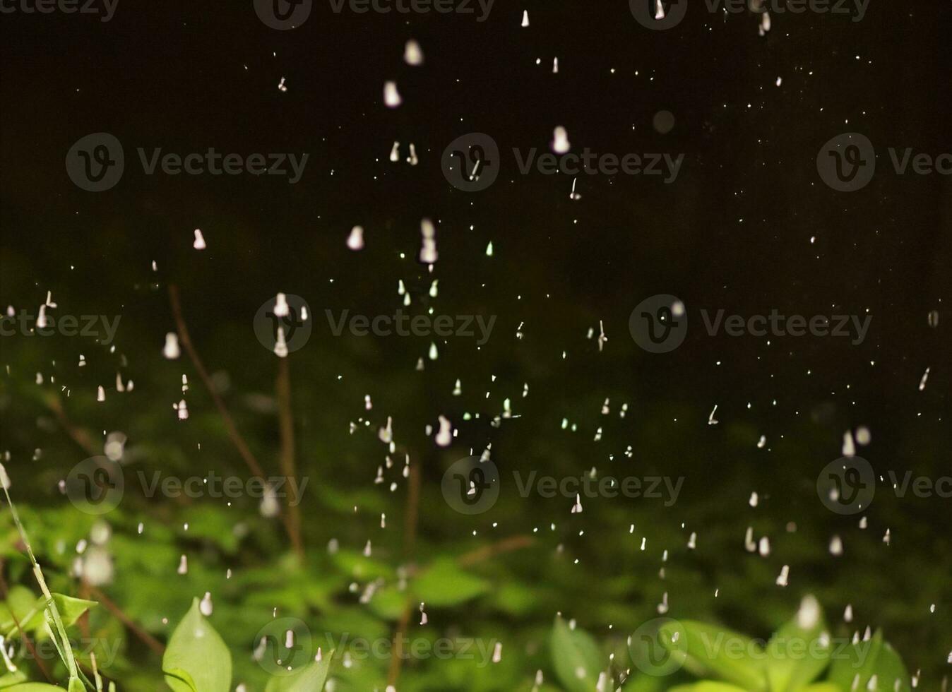 Regen auf das Straße beim Nacht mit Beleuchtung foto