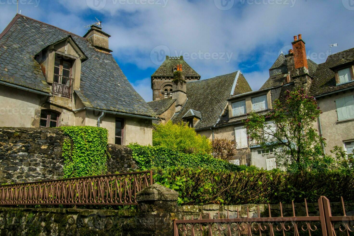 natürlich Park von auvergne Vulkane foto