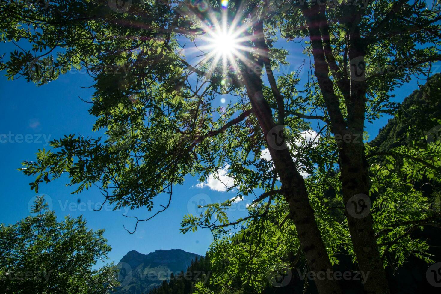 regional natürlich Park von Bauges foto