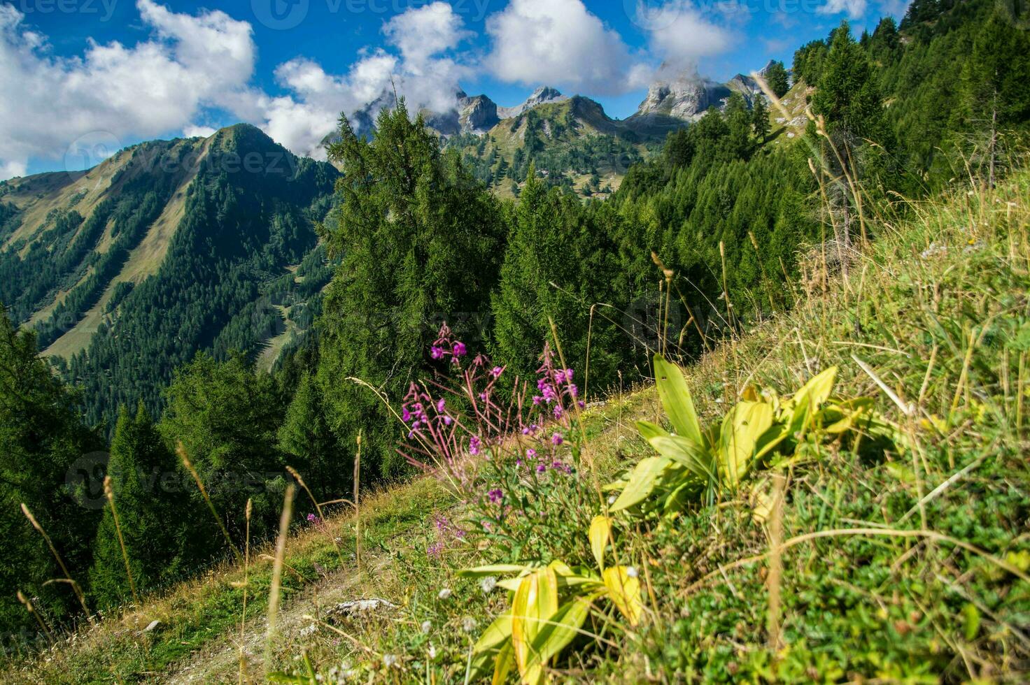 schweizerisch Alpen Landschaft foto