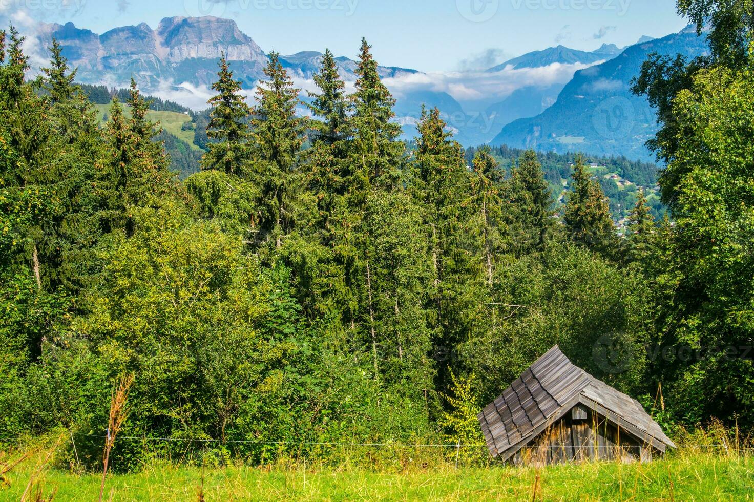 hölzern Gehweg im das Berge foto