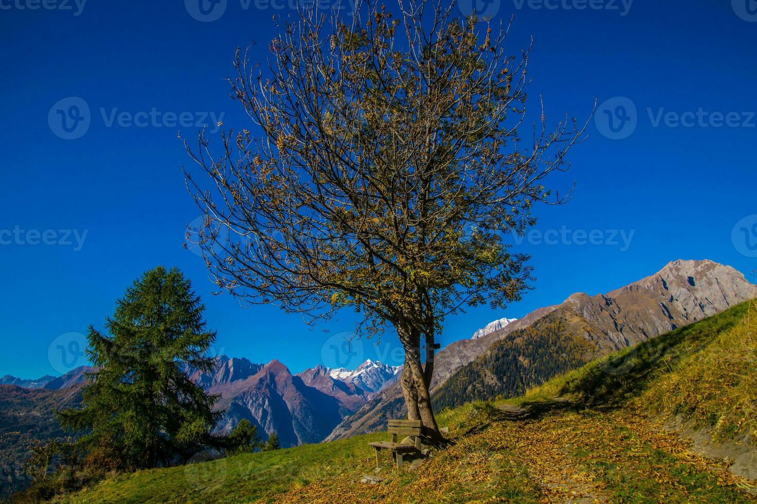 Auszahlung des Alpen suisse en automne foto