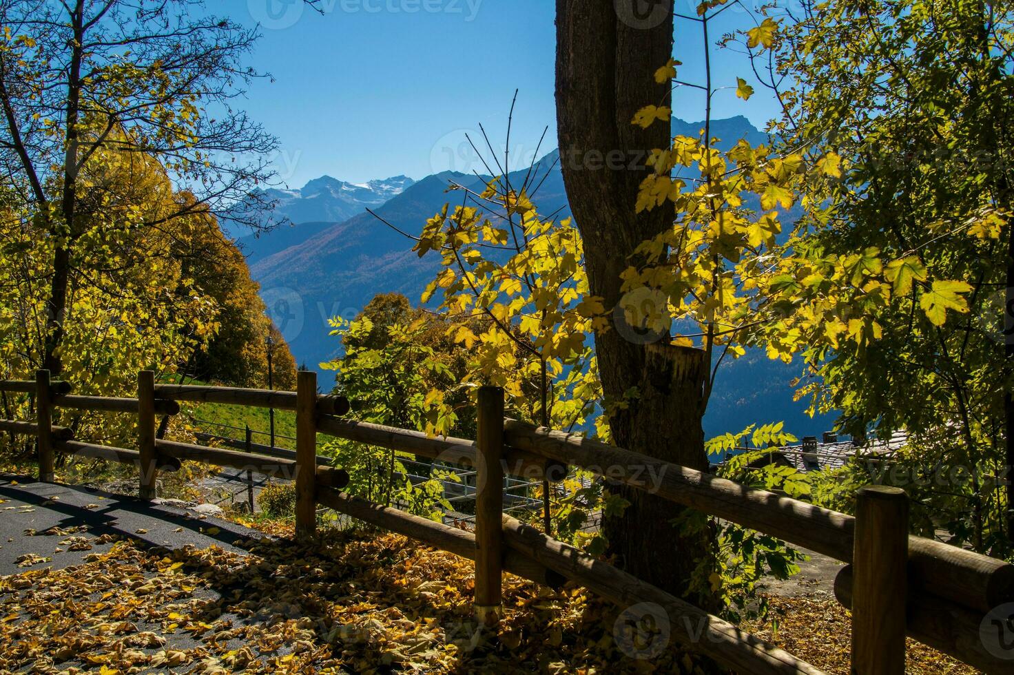 Auszahlung des Alpen suisse en automne foto