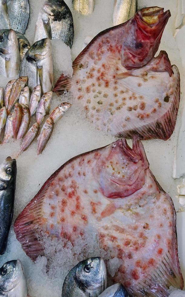 Fischfutter in einem Fischmarktstand foto