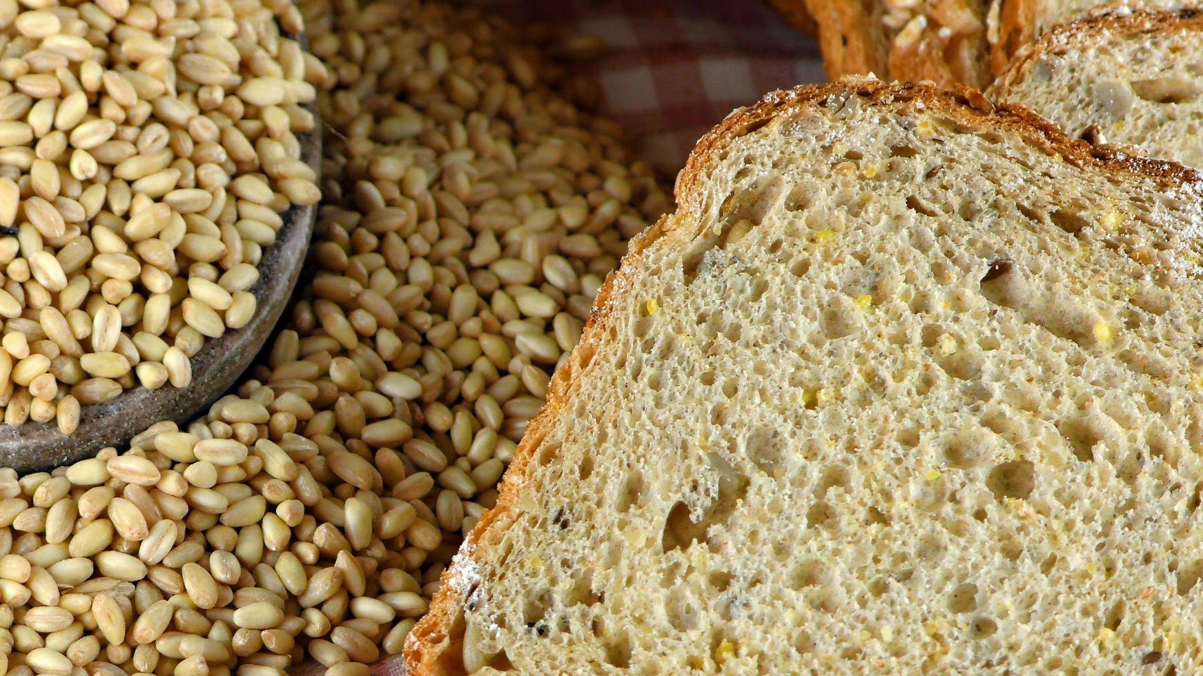 leckeres frisches Brot-Food-Konzept foto