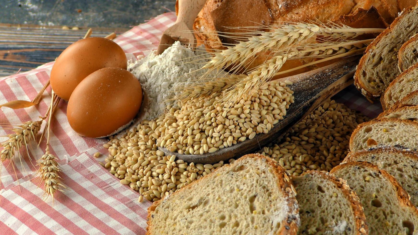 leckeres frisches Brot-Food-Konzept foto