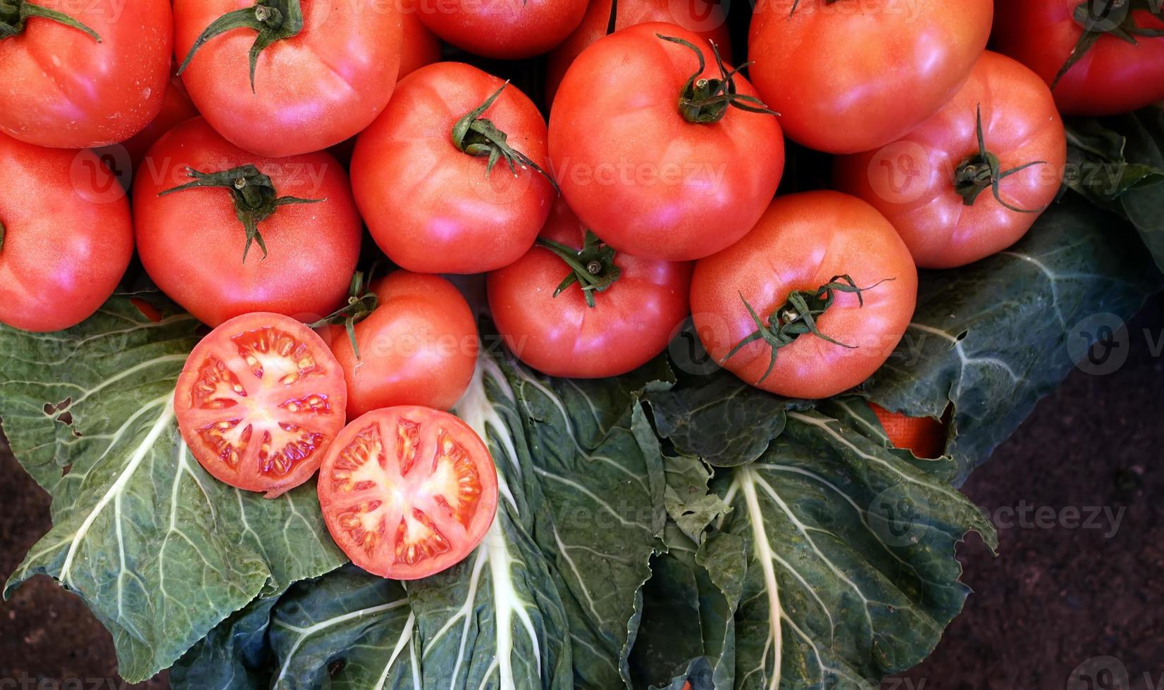 gesunde und saftige Gemüsetomate foto