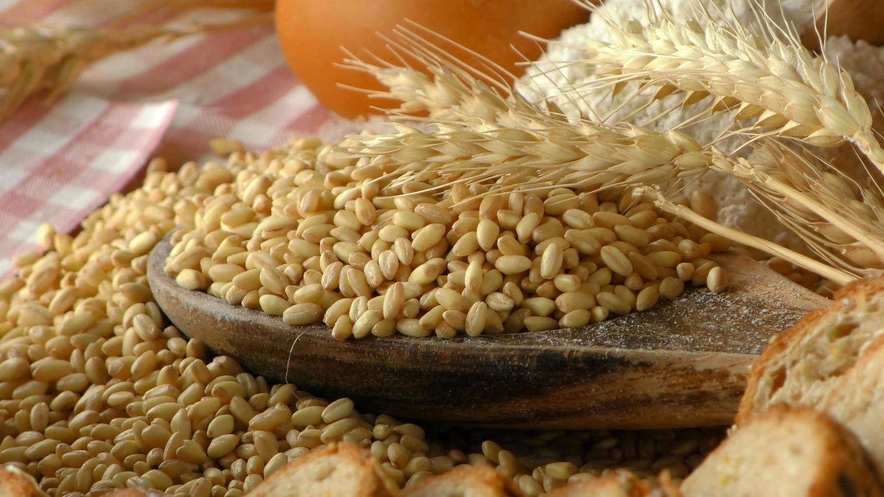 leckeres frisches Brot-Food-Konzept foto