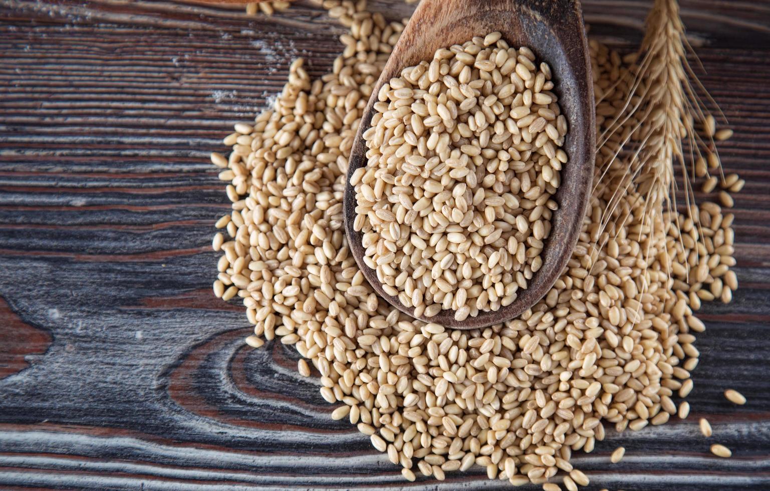 leckeres frisches Brot-Food-Konzept foto