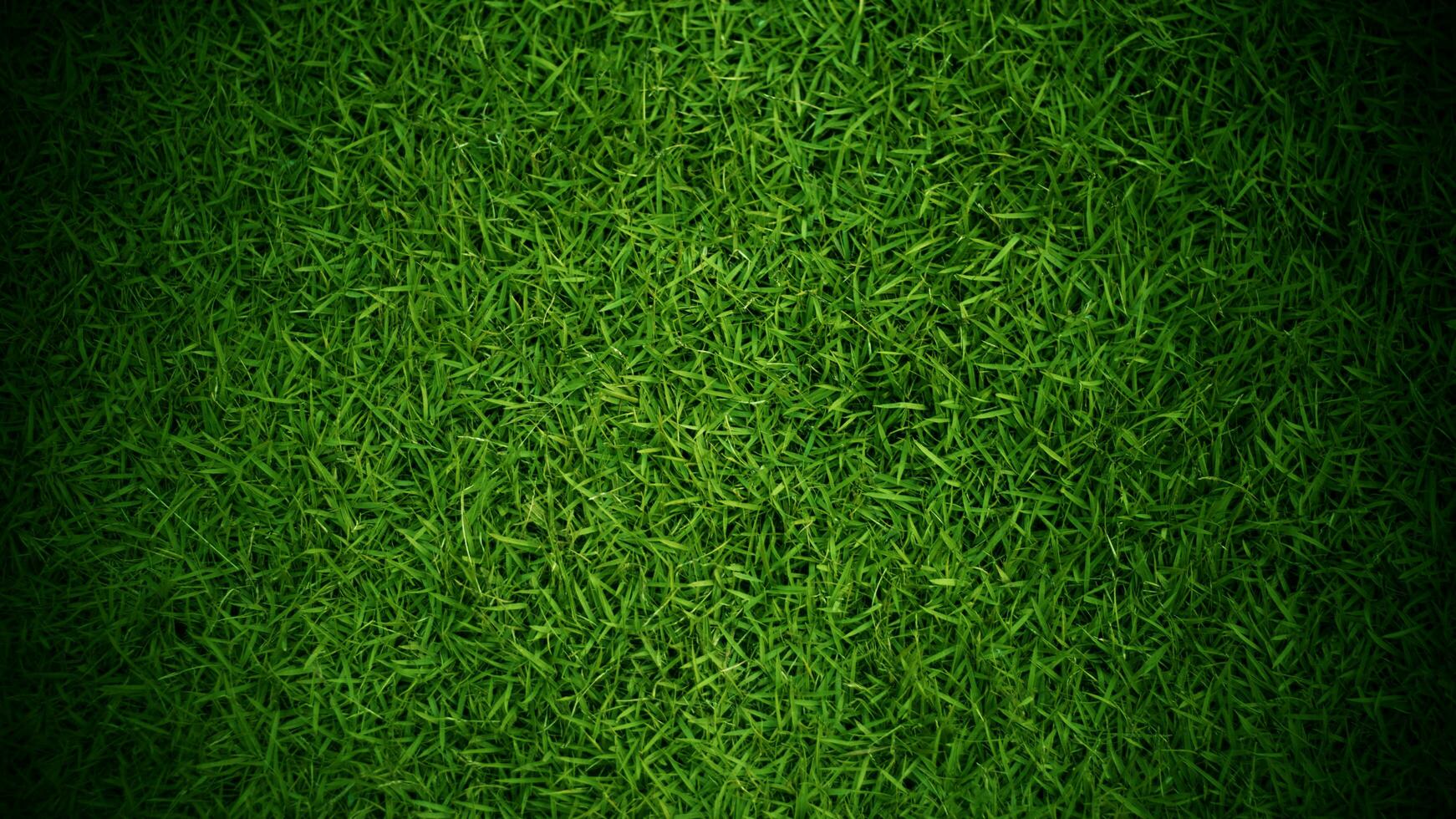 grünes Gras Textur Hintergrund Gras Gartenkonzept verwendet für die Herstellung von grünen Hintergrund Fußballplatz, Gras Golf, grünen Rasen Muster strukturierten Hintergrund. foto