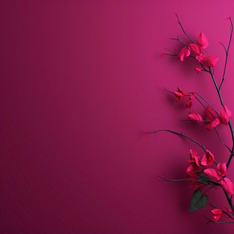 fuchsia minimalistisch Hintergrund foto