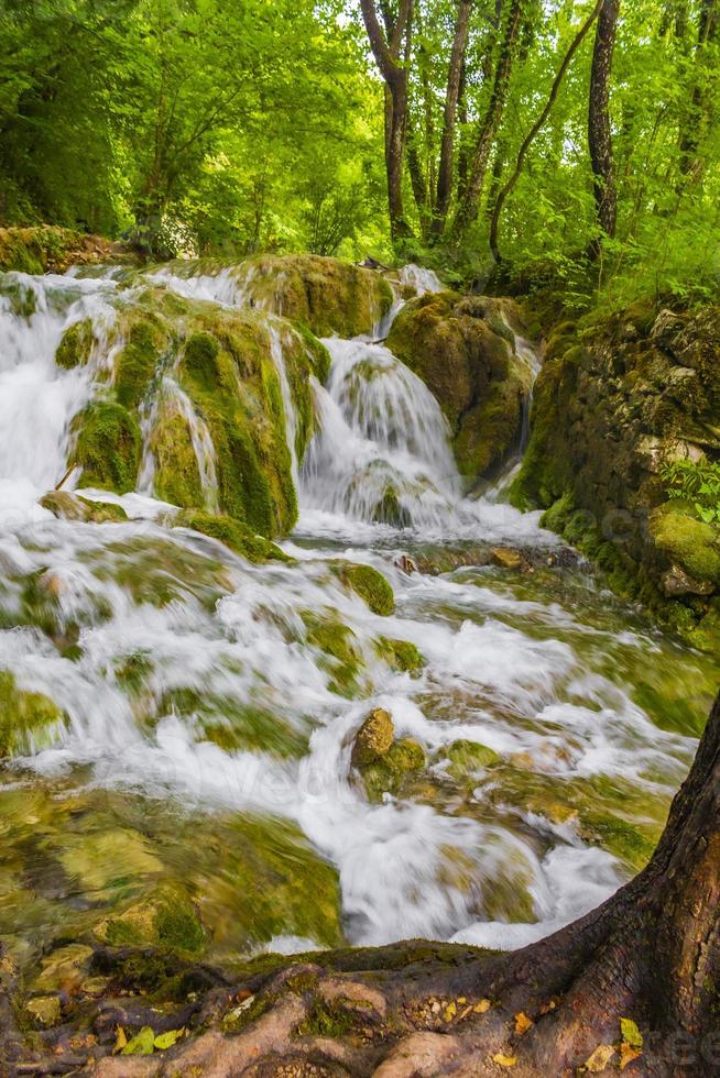 Nationalpark Plitvicer Seen Wasserfall fließt über Steine Kroatien. foto