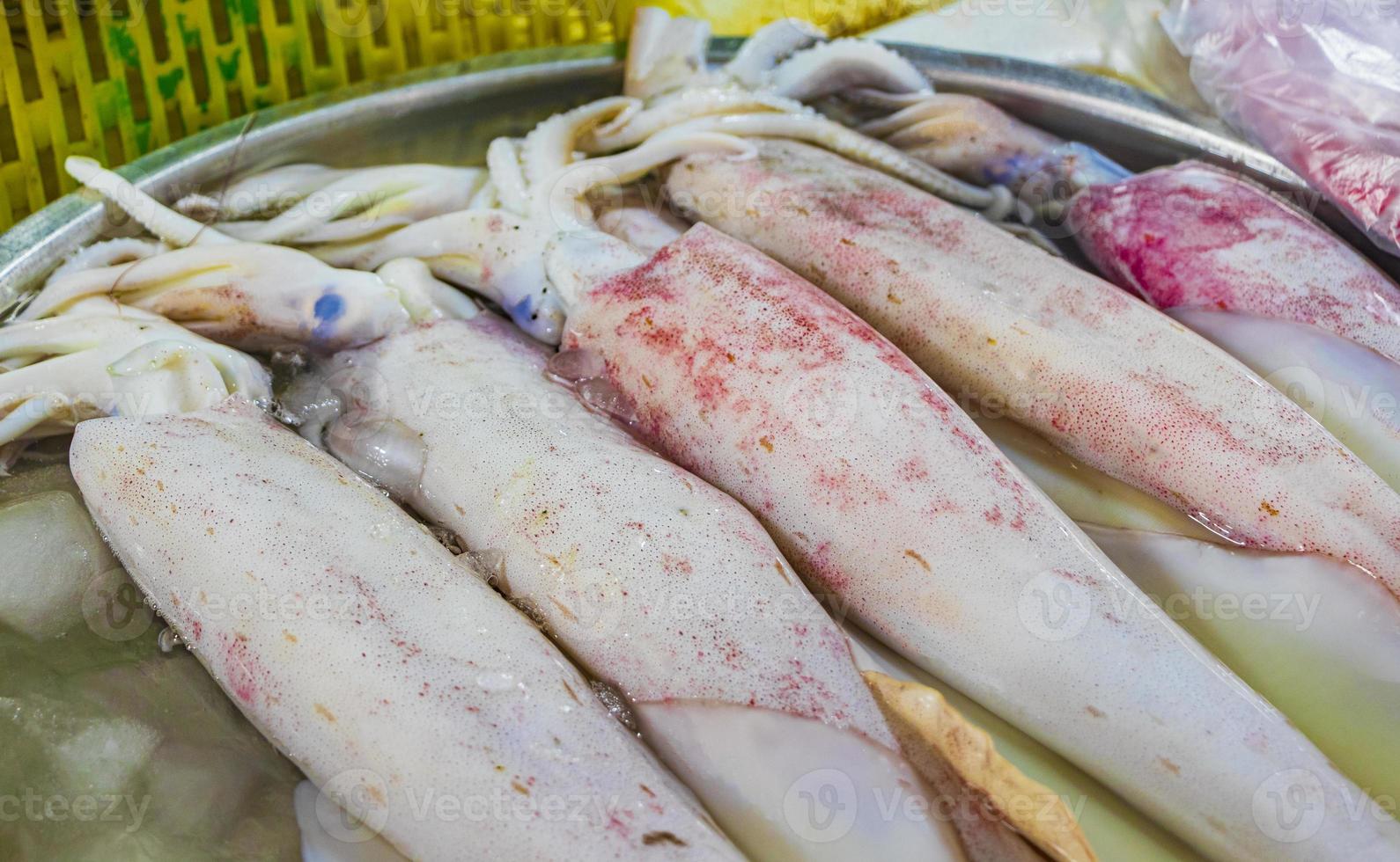rohe thailändische Meeresfrüchte in Koh Samui, thailand foto