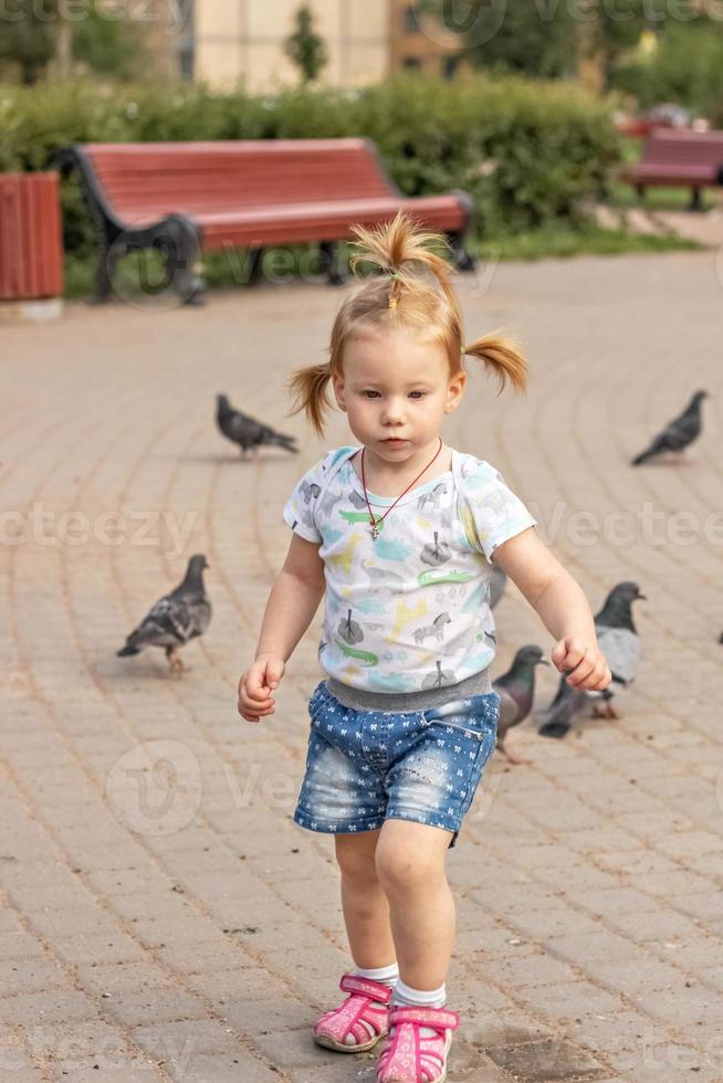 kleines Mädchen Kleinkind rennt Tauben nach. Sommer foto