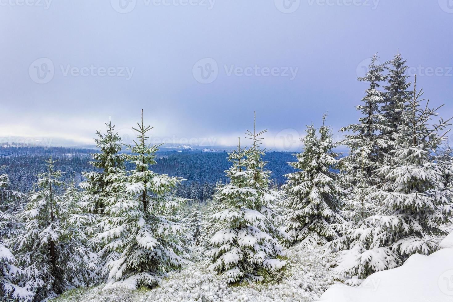 Winterwaldlandschaft im Brocken, Harz, Deutschland foto