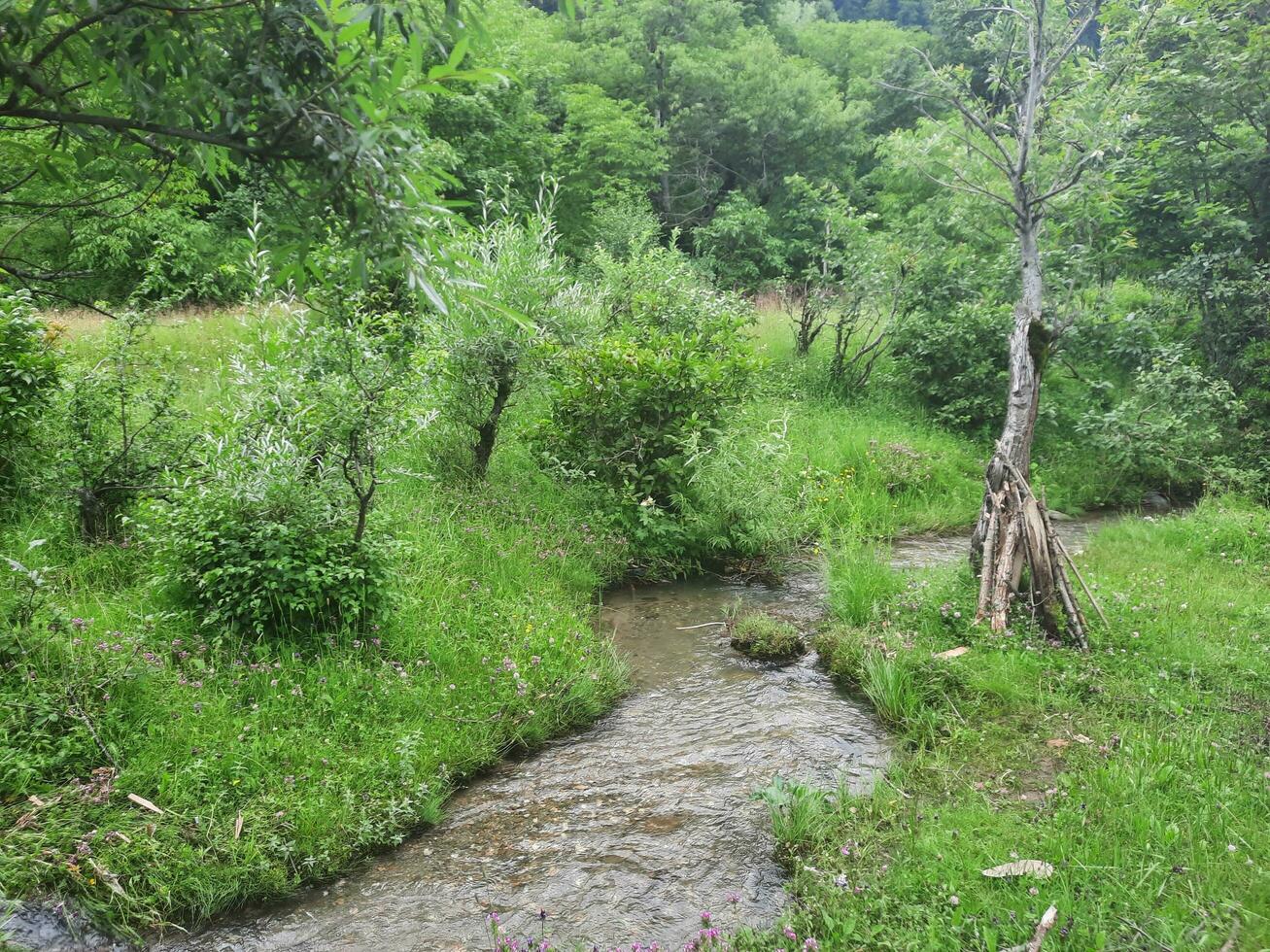 szenisch Aussicht von das natürlich Schönheit von tao Hintern, Neelum Schlucht, Kaschmir. tao Hintern ist berühmt zum es ist üppig Grün Bäume und natürlich Schönheit. foto