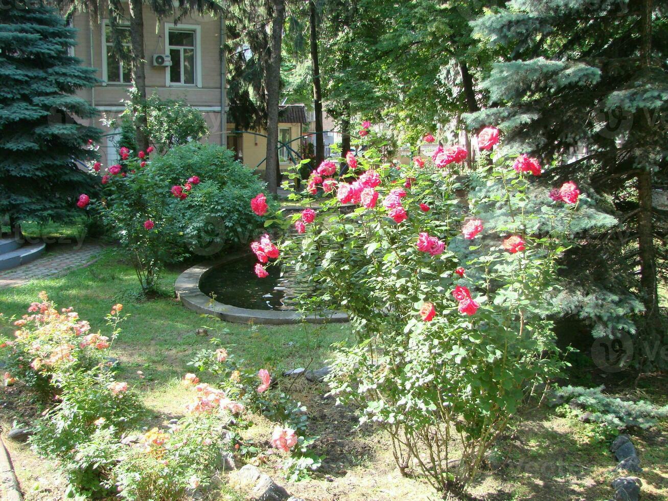 schön Garten mit Blühen Bäume während Frühling Zeit foto