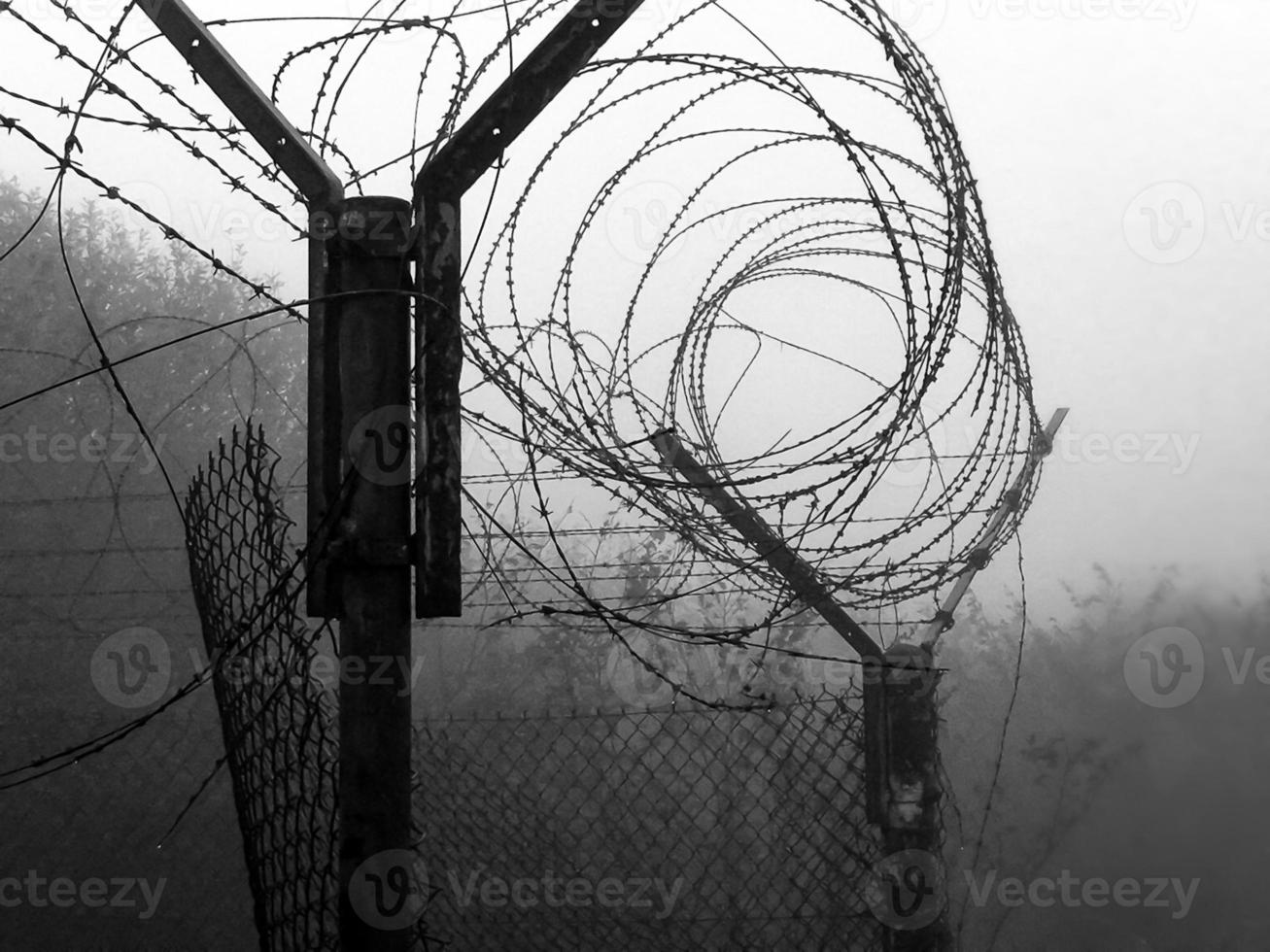 Stacheldraht und Nebel foto