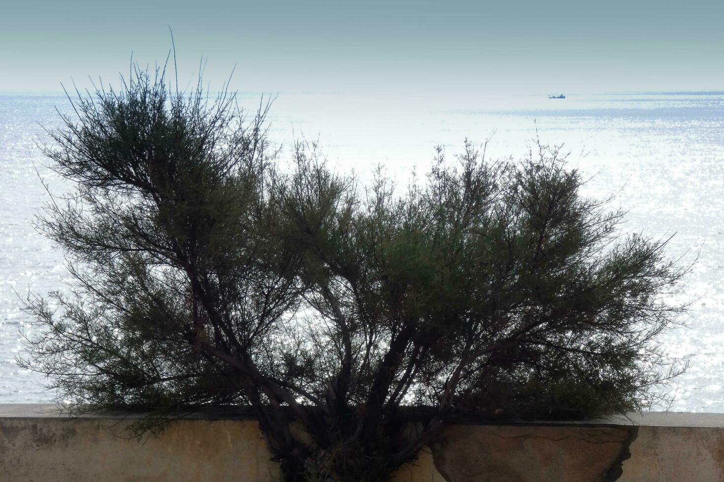 costa brava und küstenweg entlang der zerklüfteten küste von nordkatalonien, spanien foto