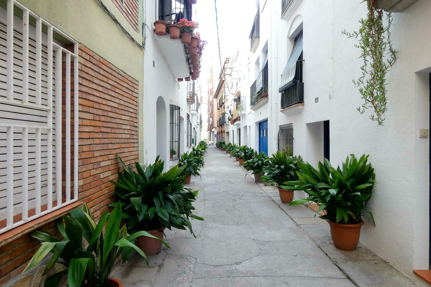 eng Straßen im das alt Quartal von das Mittelmeer Stadt, Dorf von blanes im das Provinz von Barcelona, Katalonien, Spanien. foto