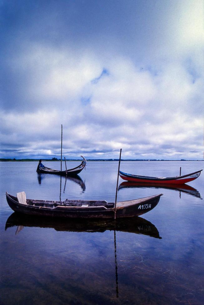 die boote namens moliceiros in aveiro, portugal foto