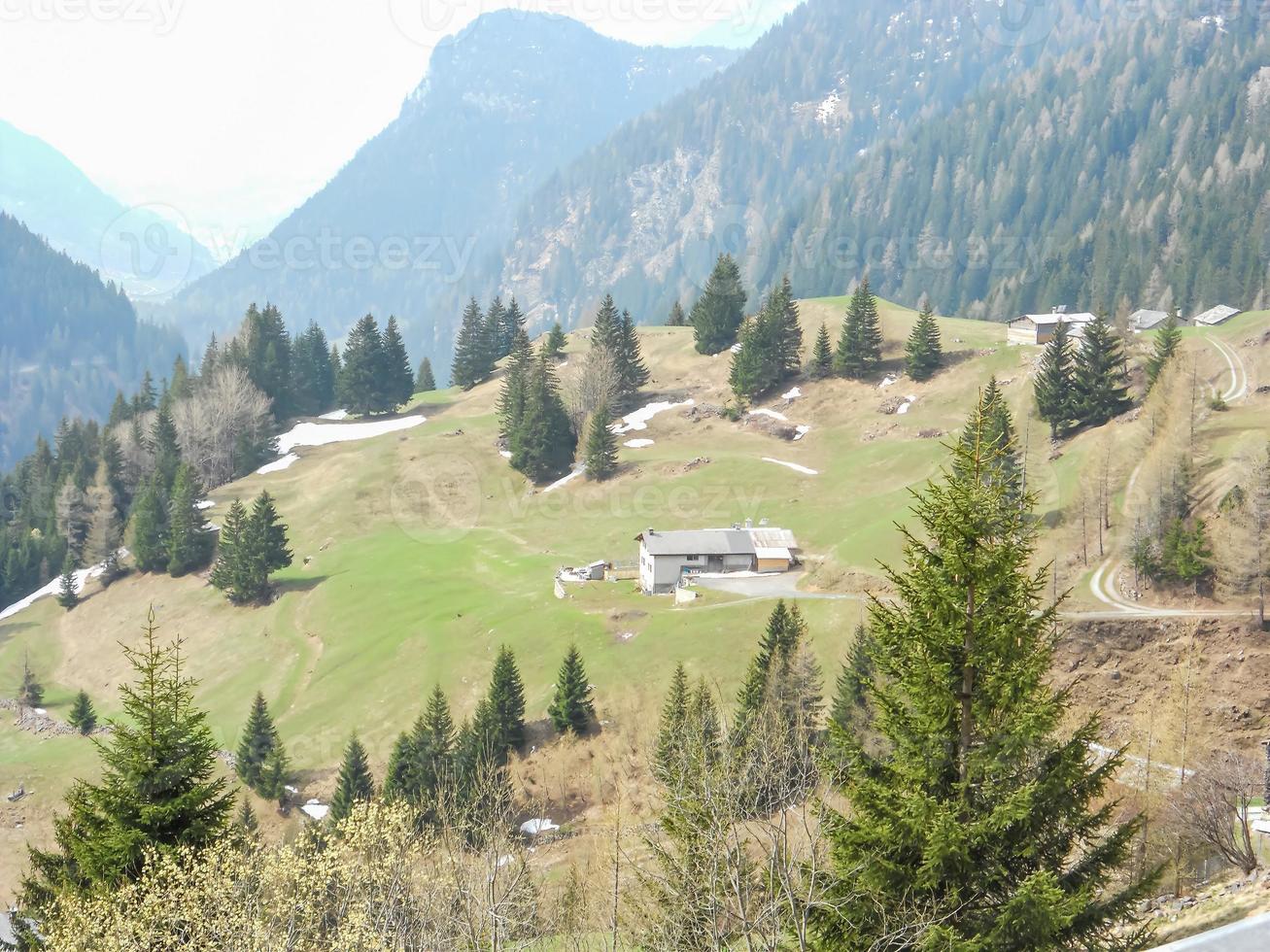 Landschaft der lallate della valtellina foto