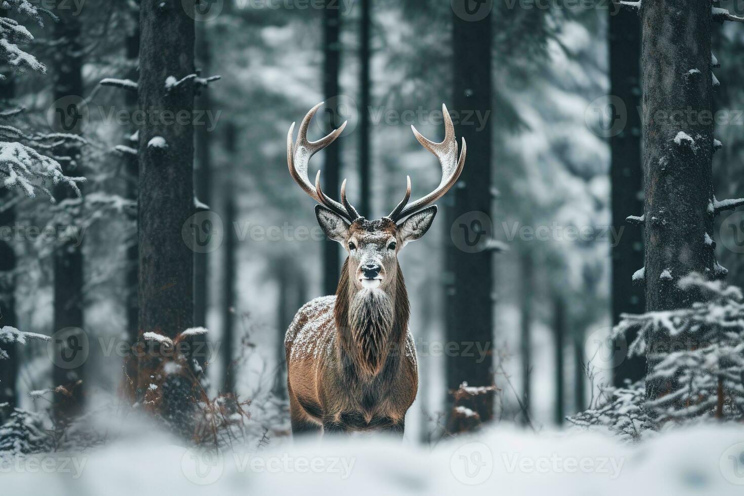 ein Hirsch steht im Vorderseite von ein Schnee bedeckt Feld im ein Winter Wald. generativ ai foto