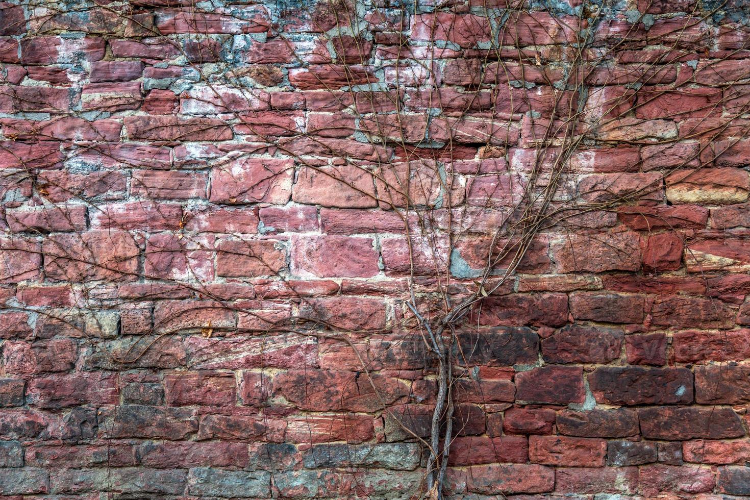Grunge Steinmauer Hintergrundtextur foto