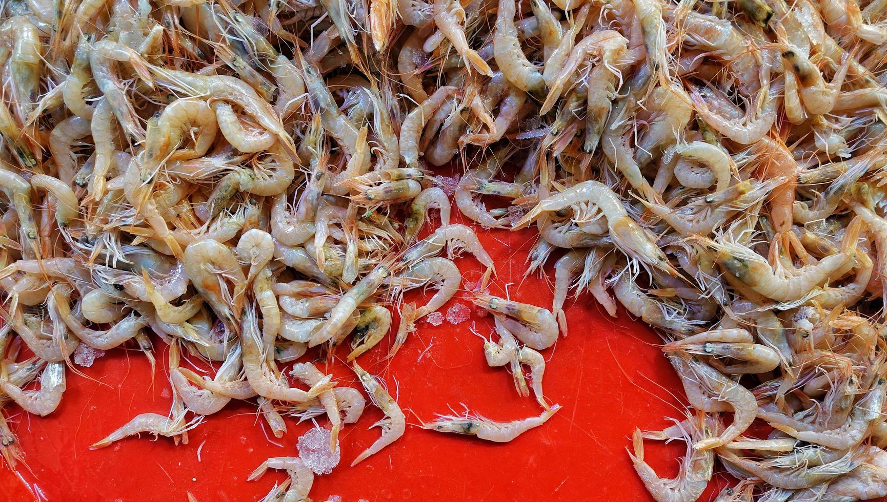 Fischfutter in einem Fischmarktstand foto