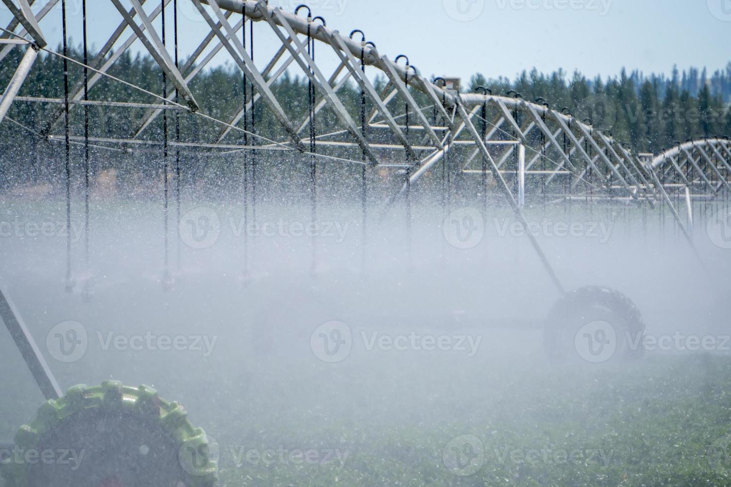 Bewässerungsausrüstung auf dem Feld an einem sonnigen Tag foto