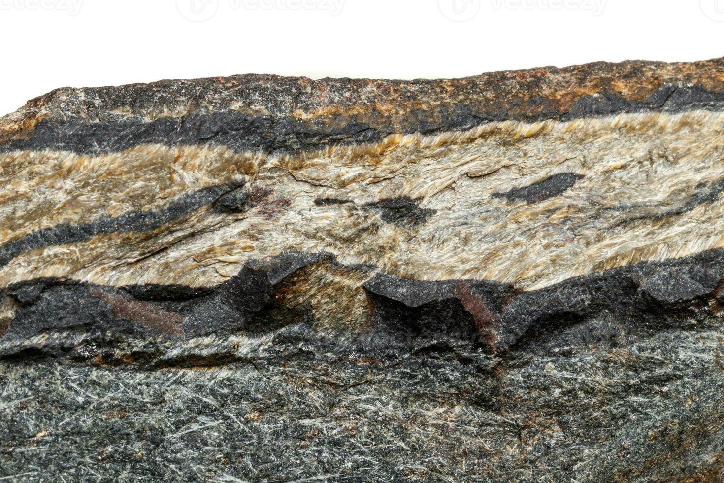 Makro-Mineralstein Schlangenauge im Felsen einen weißen Hintergrund foto