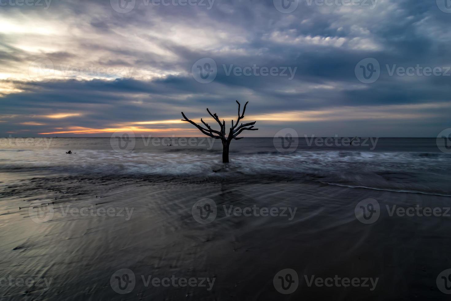 wunderschöne Natur auf der Jagdinsel South Carolina foto