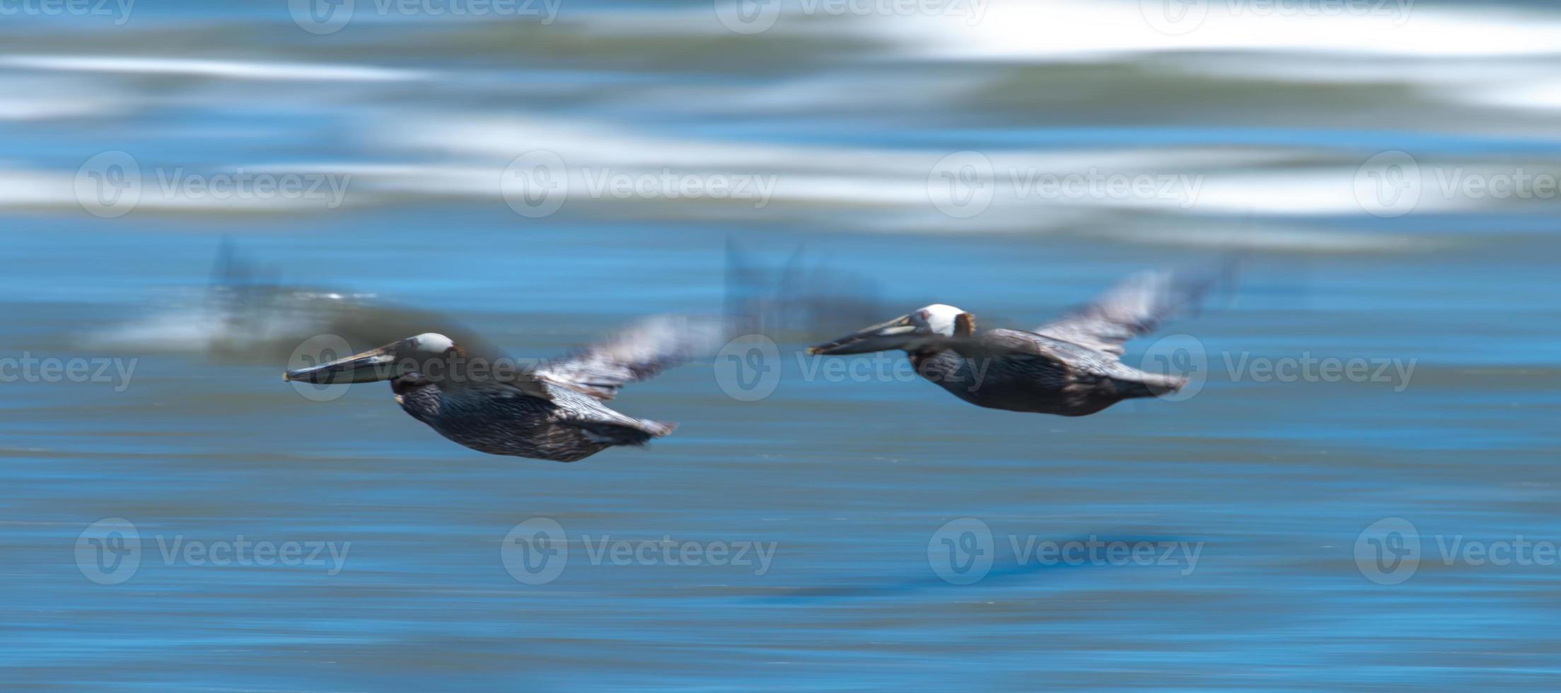 abstrakte Pelikane im Flug am Strand des Atlantiks foto
