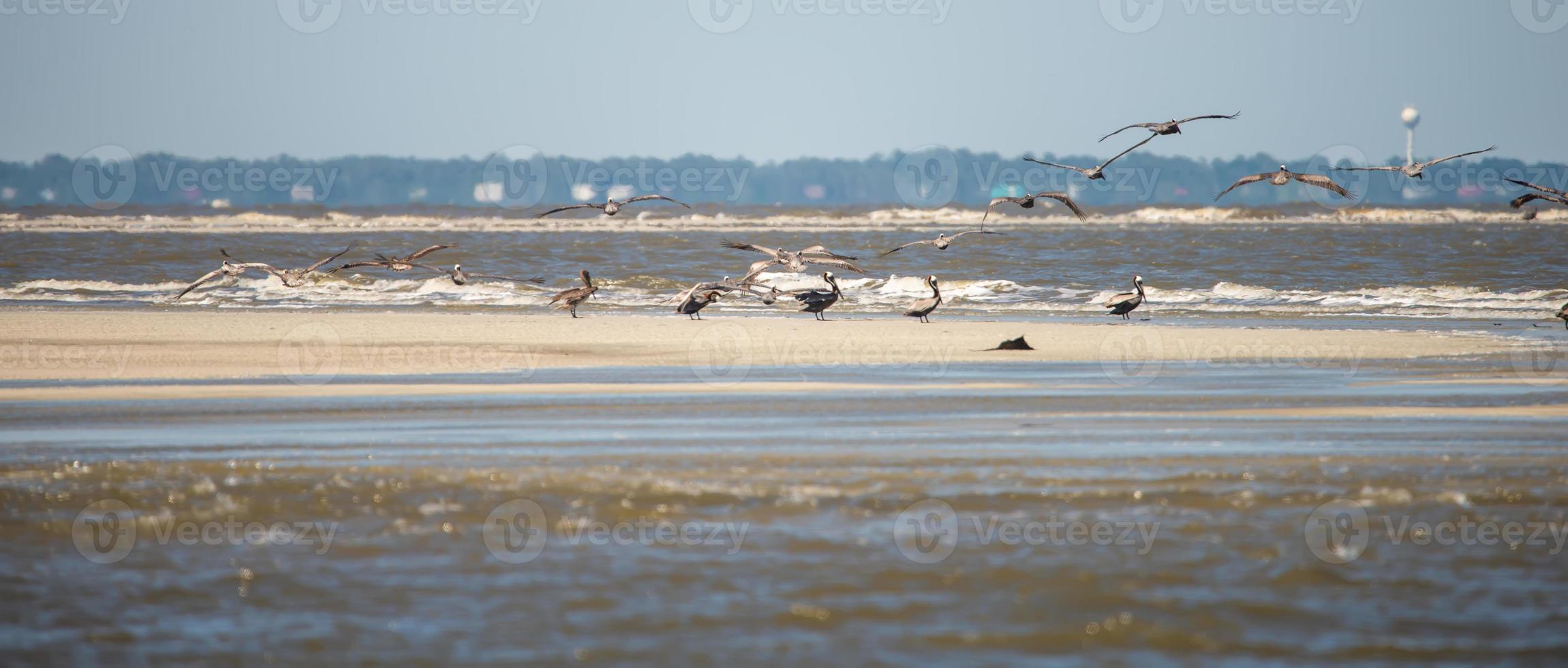 abstrakte Pelikane im Flug am Strand des Atlantiks foto