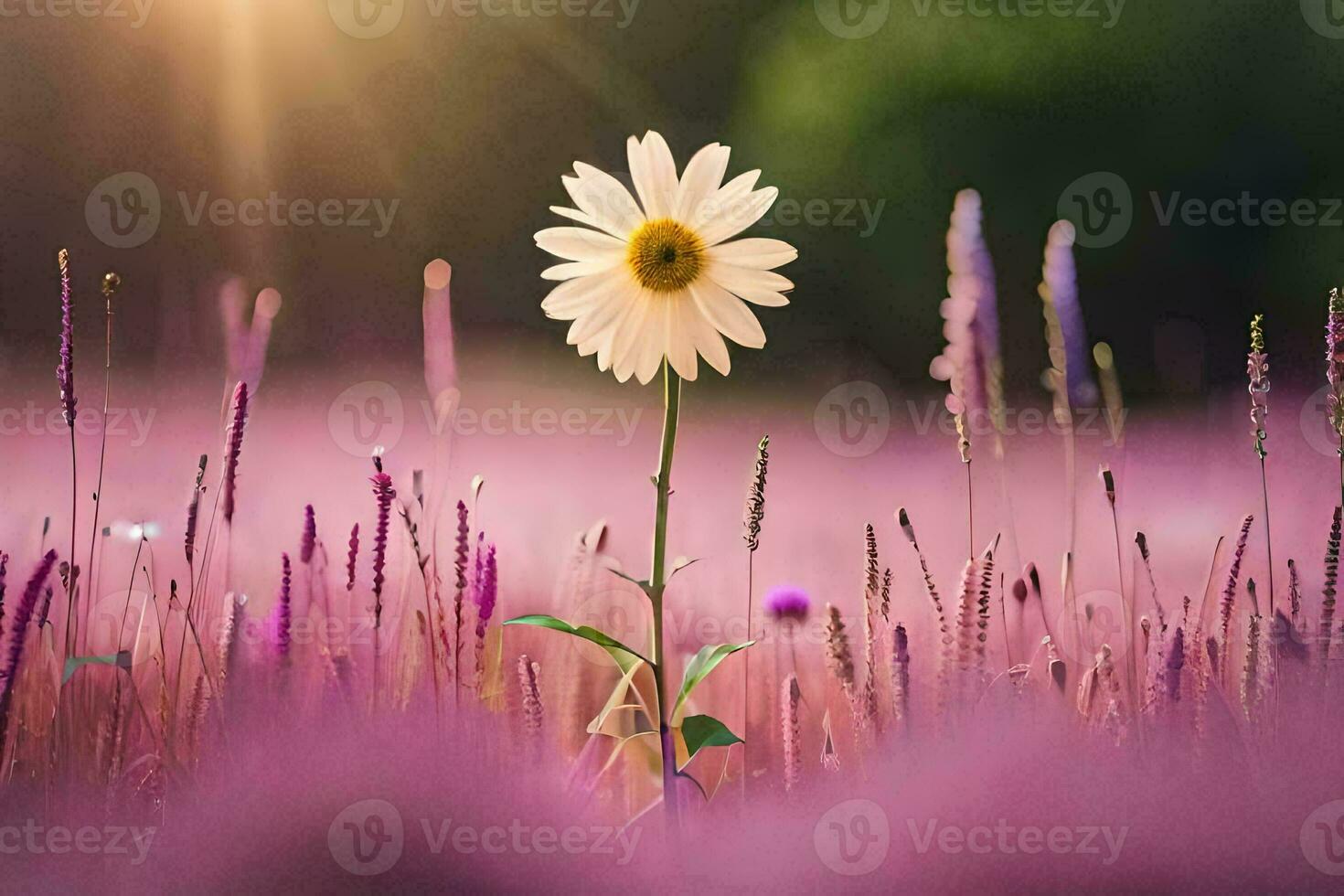 ein Single Gänseblümchen ist Stehen im ein Feld von lila Blumen. KI-generiert foto