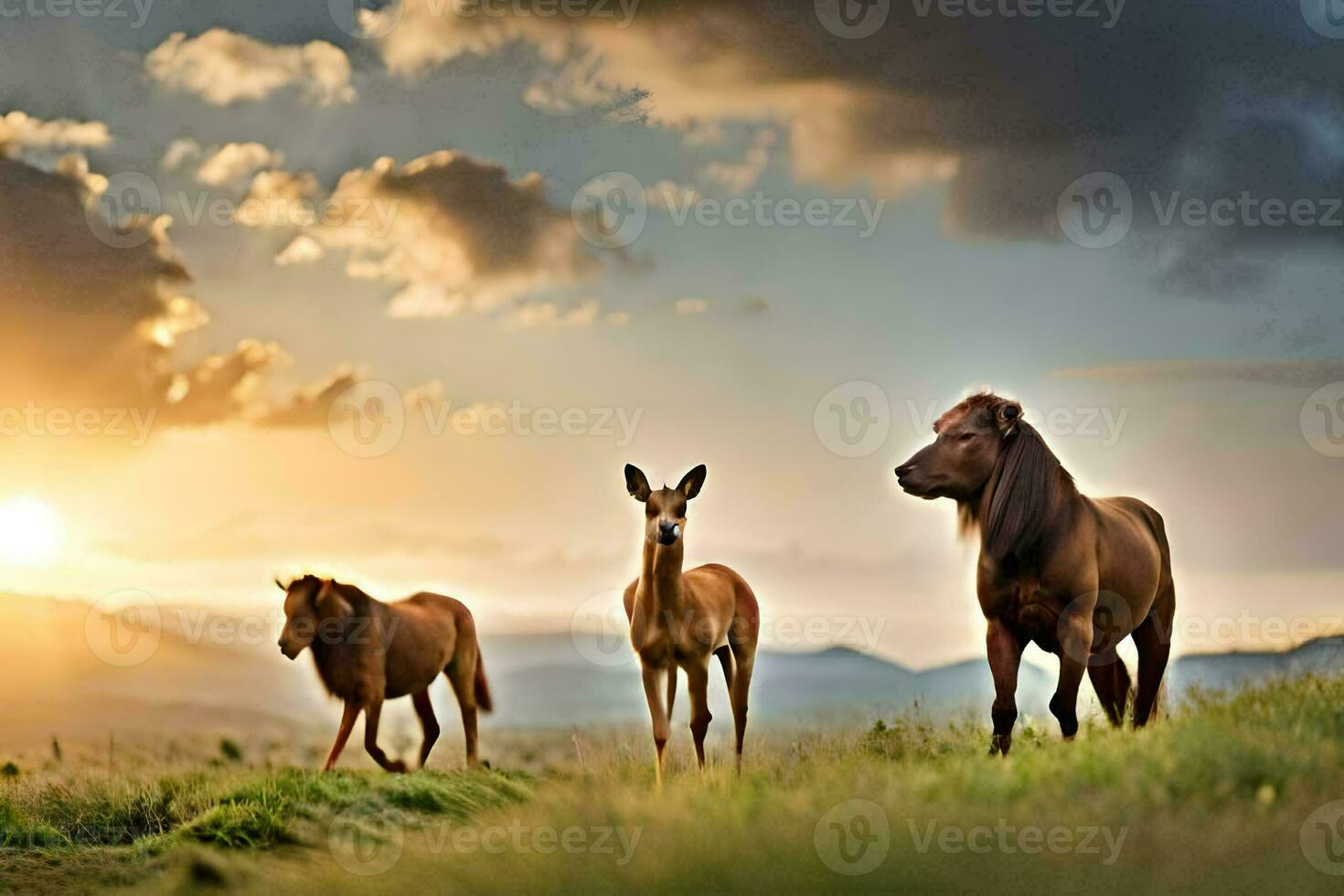 drei Pferde sind Stehen im ein Feld beim Sonnenuntergang. KI-generiert foto