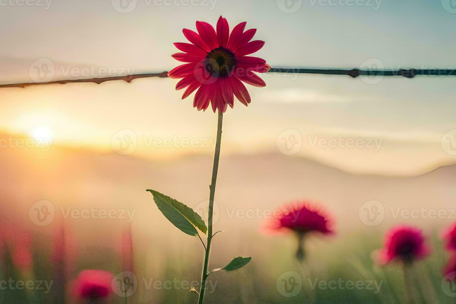 ein rot Blume ist Stehen im Vorderseite von ein mit Widerhaken Draht Zaun. KI-generiert foto