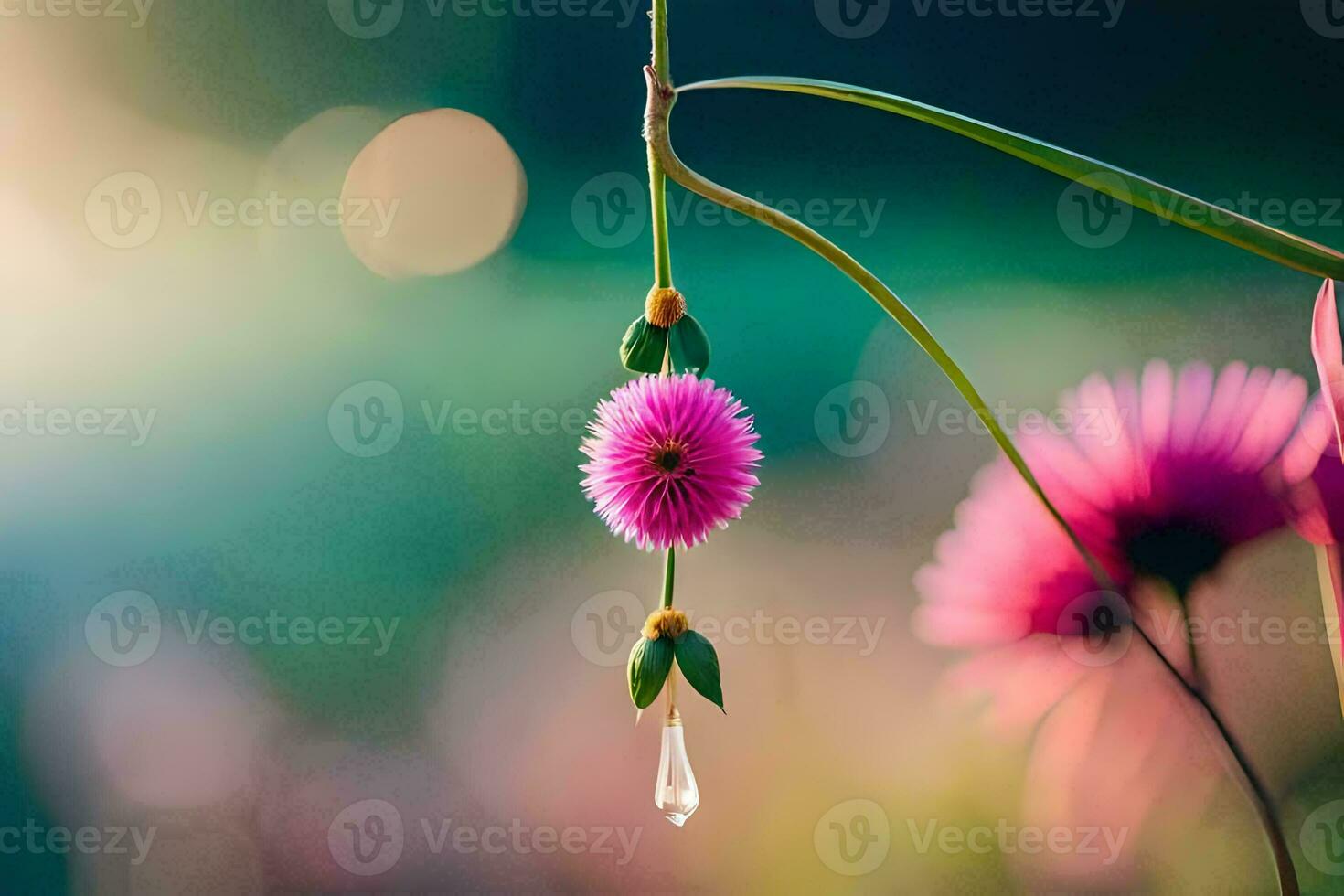 ein Rosa Blume mit ein fallen von Wasser hängend von Es. KI-generiert foto