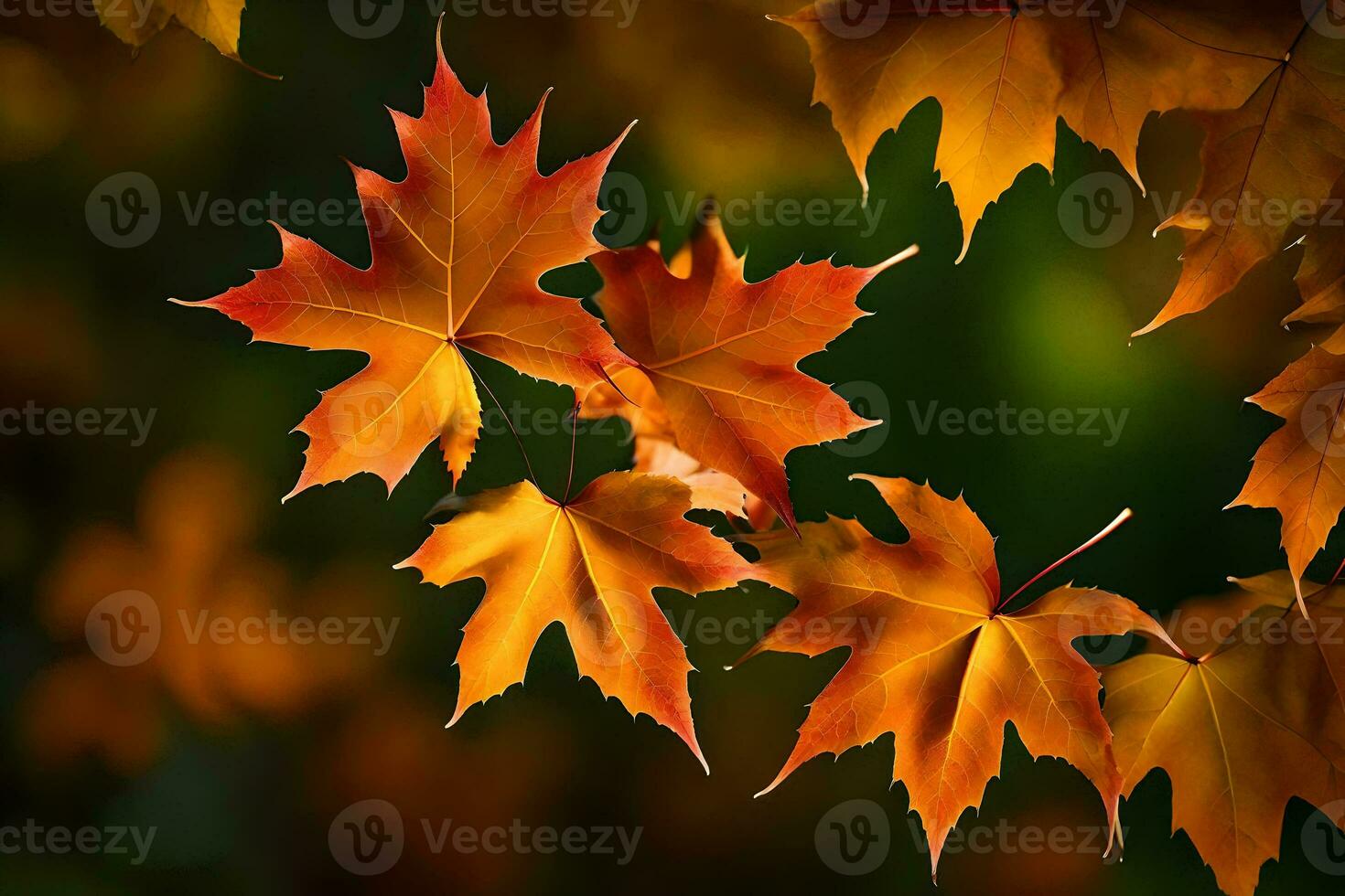 Foto Hintergrund Blätter, das Herbst, Herbst, Blätter, das Blätter, Herbst, Herbst Blätter,. KI-generiert