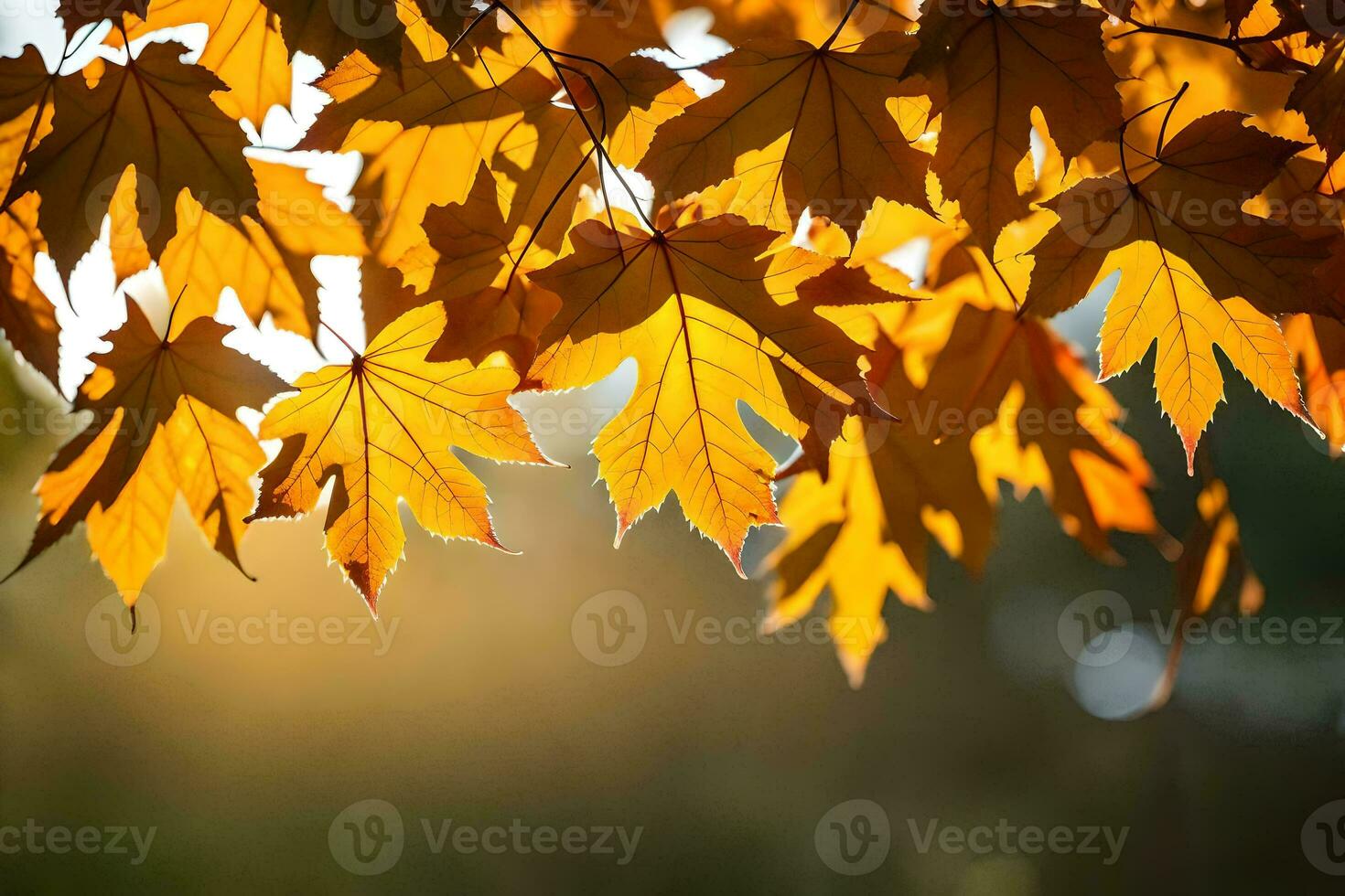 Herbst Blätter sind gezeigt im das Sonne. KI-generiert foto