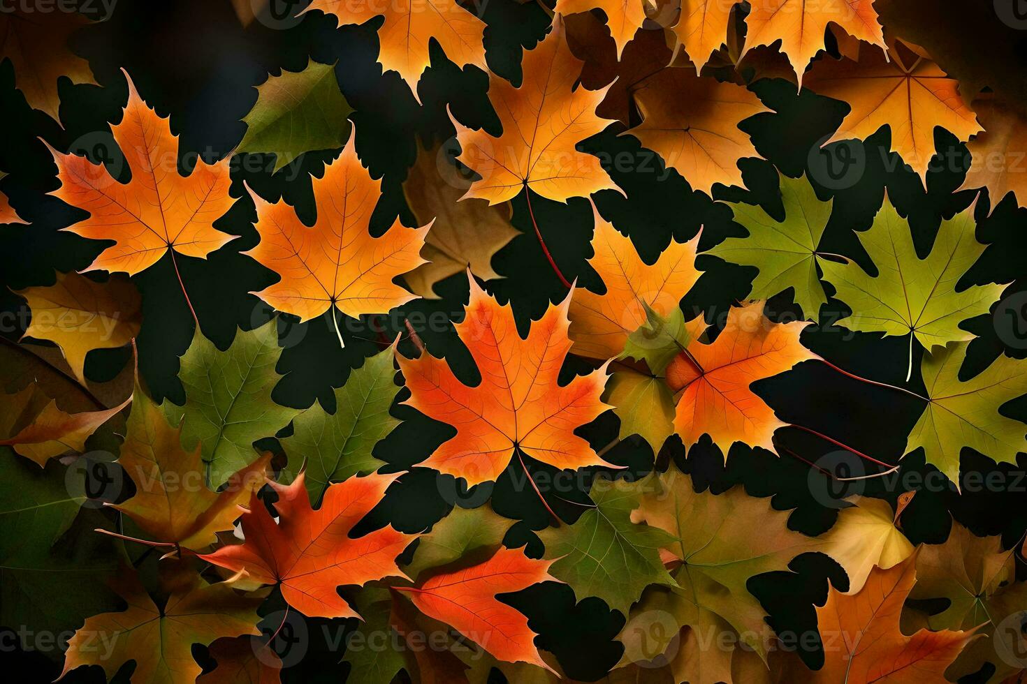 Herbst Blätter auf ein schwarz Hintergrund. KI-generiert foto